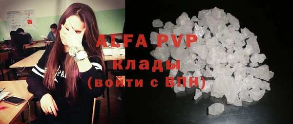 соль ск Арсеньев