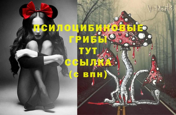 мдпв Балахна