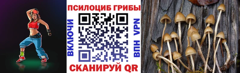 купить   MEGA рабочий сайт  Псилоцибиновые грибы Psilocybe  Кукмор 